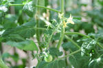 DSC_1060-edited.jpg