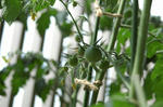 DSC_1069-edited.jpg