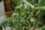 DSC_1071-edited.jpg