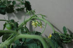 DSC_1072-edited.jpg