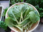20090718174613.jpg