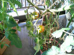 20090727061840.jpg