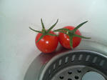 20090729060520.jpg