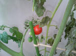 20090729060629.jpg