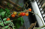 DSC_1173-edited.jpg