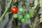 DSC_1178-edited.jpg