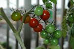 DSC_1179-edited.jpg