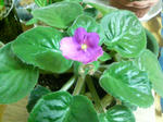 20090806220033.jpg
