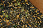 DSC_1180-edited.jpg