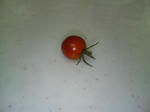 20090807061351.jpg