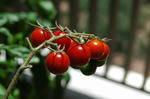 DSC_1199-edited.jpg