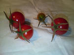 20090811070239-edited.jpg