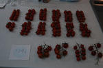 DSC_1222-edited.jpg