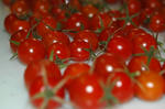 DSC_1230-edited.jpg