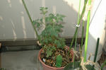DSC_1247-edited.jpg