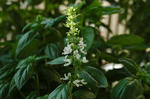 DSC_1266-edited.jpg