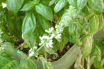 DSC_1270-edited.jpg