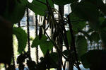 DSC_1276_filtered-edited.jpg
