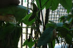 DSC_1277_filtered-edited.jpg
