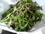 20090923114739-edited.jpg