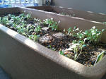 20091101100704-edited.jpg