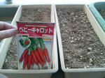 20091115134545.jpg