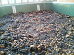 20091127065516-edited.jpg