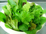 20091205173226.jpg