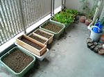 20091213125607_edited.jpg