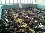 20100109164603.jpg