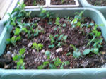 20100109164341.jpg