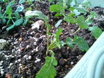 20100109164419.jpg