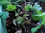 20100109164457.jpg