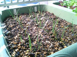 20100124122041.jpg