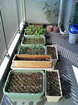 20100124122307-edited.jpg