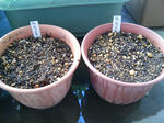20100207123034.jpg