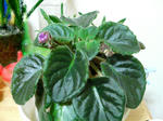 20100228203715_edited.jpg