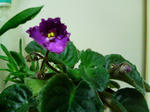 20100304233806.jpg