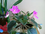20100313095727_edited.jpg