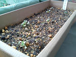 20100313121534.jpg