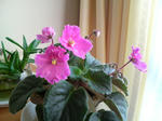 20100316070439.jpg