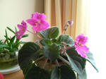 20100316070509.jpg