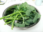 20100321163218.jpg