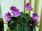20100328014643.jpg