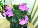 20100328014724.jpg