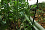 DSC_0008-edited.jpg