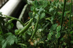 DSC_0010-edited.jpg