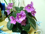 20100413001227-edited.jpg