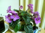 20100413001250-edited.jpg
