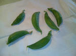 20100417170532-edited.jpg
